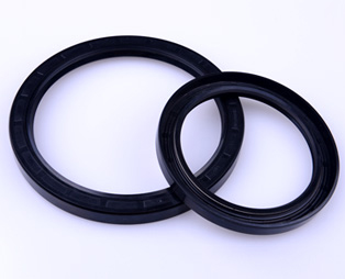 Rotary oil seal