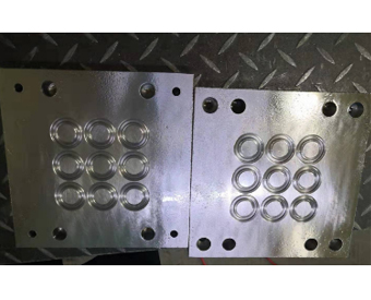 Precision rubber mold